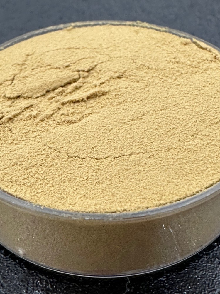 Honeysuckle Flower 30:1 Extract Powder – Jin Yin Hua