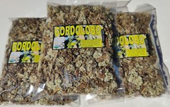 Mullein Flower Gordolobo verbascum thapsus Premium 3oz Infusion/Tea Wildcrafted!
