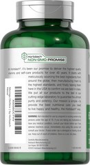 Moringa Oleifera 6000mg 300 Capsules Non-GMO and Gluten Free Extract by Horbaach