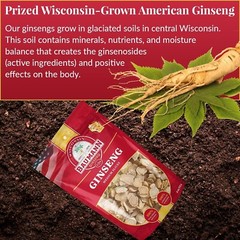 Baumann Wisconsin Ginseng – Medium Slices 4 oz – 100% Natural Panax Ginseng Herb