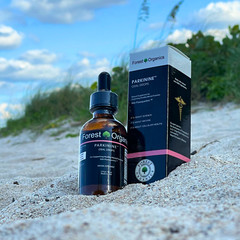 Memory&Brain Support Tincture Extract for Memory Focus Concentration with Brahmi