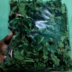 100% Pure Herbal Natural Dried Papaya Leaves (Carica Papaya) for Immunity 100g