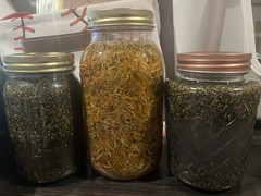 Plagued Creations Lavender Clove Arnica Body Oil