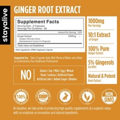 Pure Ginger Root Capsules 1000mg, 101 Extract Powder with 5% Gingerols, 120 P…