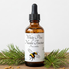White Pine Needle Tincture – Wild Organic Pine Extract