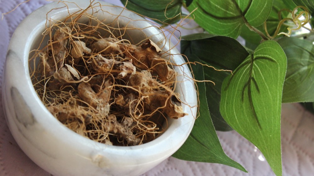 Wild Yam Root – Wild Harvest from the Appalachian Mountains, Large Cut