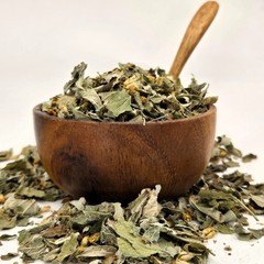 Calea Zacatechichi Dried Leaves | Mexican Dream Herb Loose Leaf