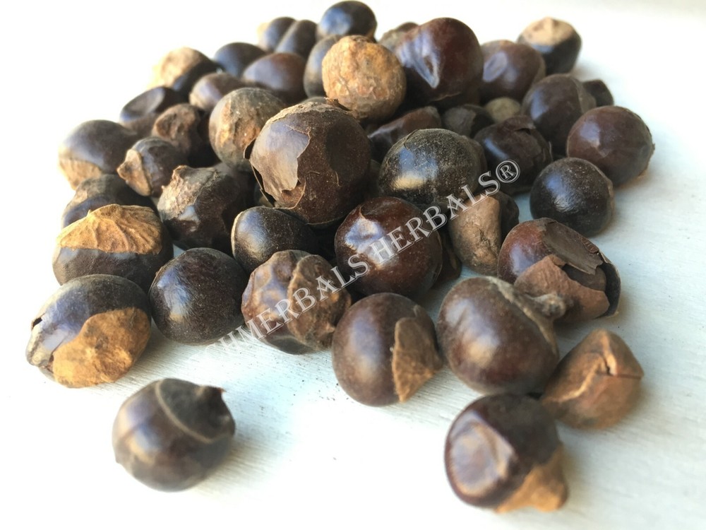 Guarana Seed, Paullinia cupana ~ Schmerbals Herbals