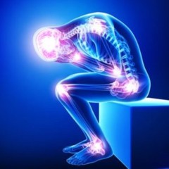 joint pain pills – PREMIUM PAIN RELIEF FORMULA 610MG 1B – msm
