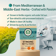 Stinging Nettle Root Caps 5500mg-(5% Lingnans&2% β-Sitosterol)-100%Vegan-180Caps