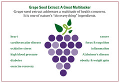 anti-aging cleanser – SPIRULINA – GRAPE SEED EXTRACT COMBO 2B – grape seed extra