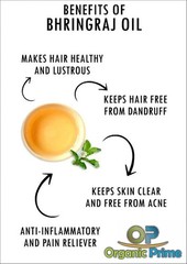 Bhringraj Powder (Eclipta Alba) Healthy Hair Growth Organic Prime Pure & Natural