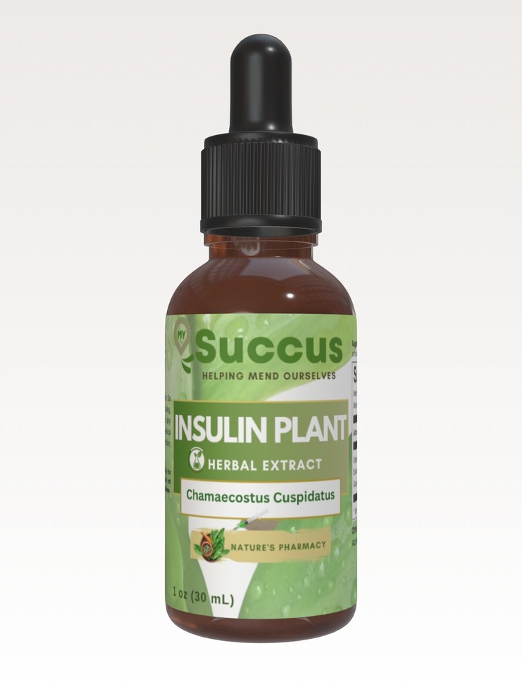 Insulin Plant Tincture – High Quality