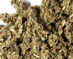 2 oz Mugwort Tea Herb Cut Sifted – BUY 2 get 1 FREE! – Tea Bulk