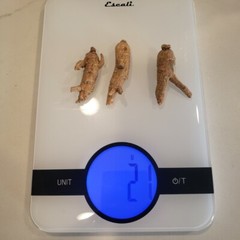 1LB 100% American Ginseng Root Large Round Root Grade A US Seller 美国花旗参大泡参