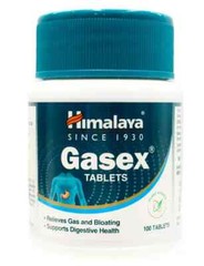 Himalaya Gasex Tablets Ayurvedic Herbal Wellness 1000 Tabs Exp 07-2028
