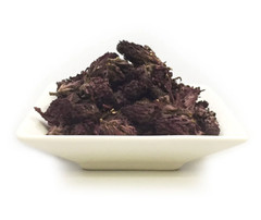 Indian Warrior – Potent – Pedicularis densiflora WARRIOR GRADE ALKALOID USA SHIP