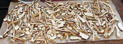 Ganoderma Tsugae, Sliced, Dried, 4 OZ