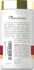 USDA Organic Extra Strength Beet Root 20:1 Extract 8000 mg Strength 120 Capsules