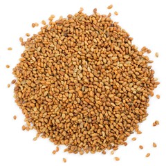 Organic Alfalfa Seeds for Sprouting – Non-GMO, Sproutable – by Food To Live