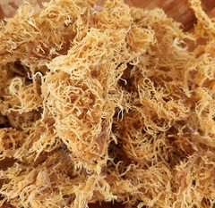 Irish Sea Moss Whole leaf Wild Crafted natural Caribbean Superfood 4oz Dr Sebi