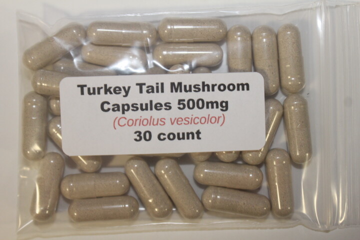 30 count Turkey Tail Mushroom Powder Capsules (Coriolus vesicolor) 500mg each