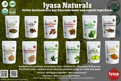 Licorice Root Powder (Liquorice) USDA certified Organic, Ships Free, 4,8,16 oz