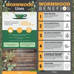 WORMWOOD Herb Tea Organic Artemisia Absinthium Digestion Natural Antibiotic Worm